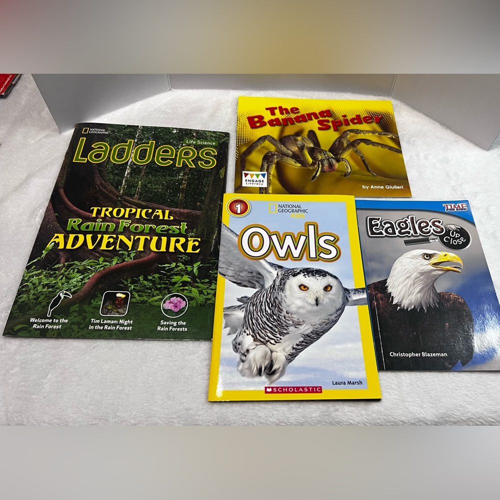 Educational Childrens Book Set Of 4 Informational Homeschooling Kids Paperback
